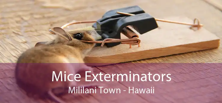Mice Exterminators Mililani Town - Hawaii