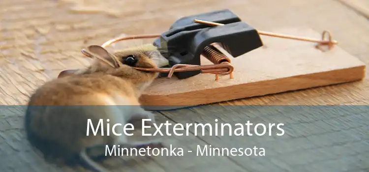 Mice Exterminators Minnetonka - Minnesota