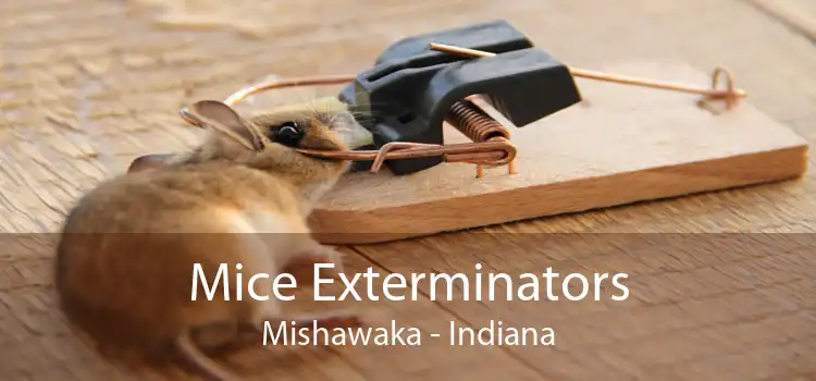 Mice Exterminators Mishawaka - Indiana