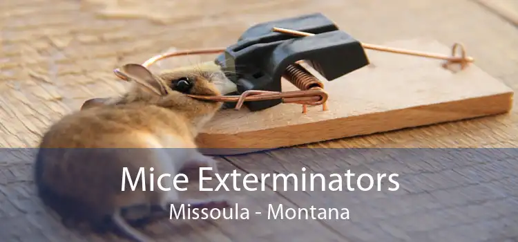 Mice Exterminators Missoula - Montana