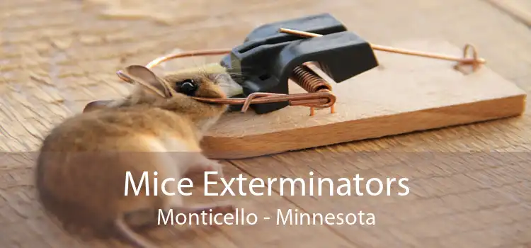 Mice Exterminators Monticello - Minnesota