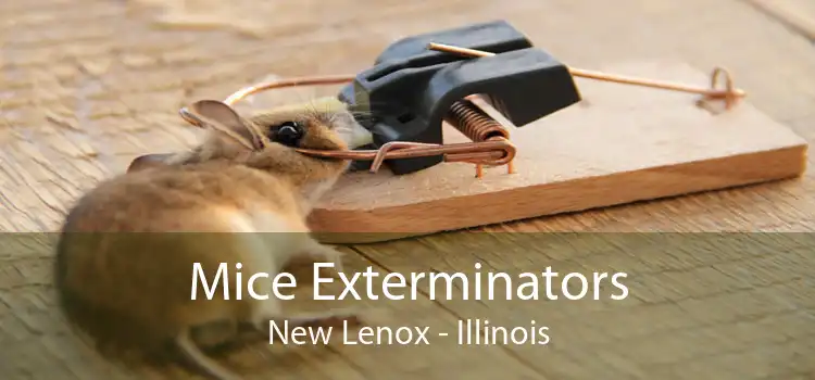 Mice Exterminators New Lenox - Illinois