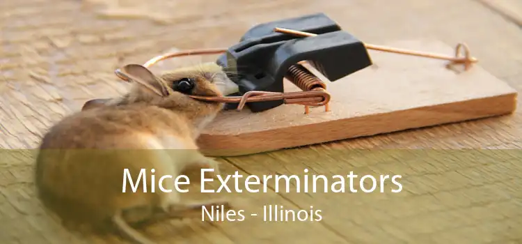 Mice Exterminators Niles - Illinois
