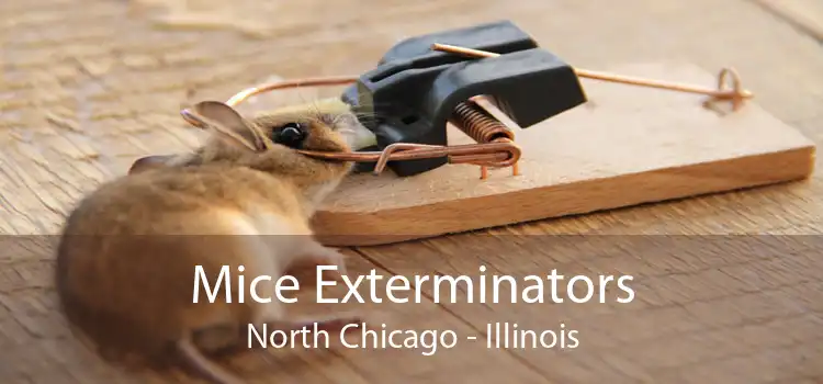 Mice Exterminators North Chicago - Illinois