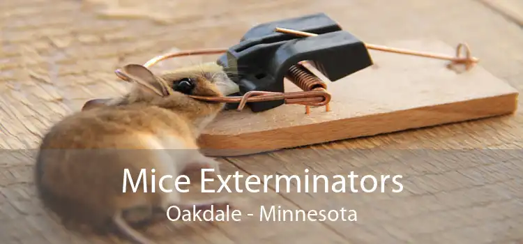 Mice Exterminators Oakdale - Minnesota