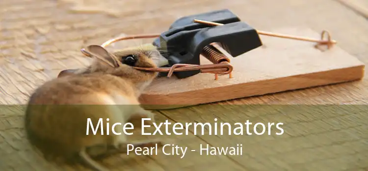 Mice Exterminators Pearl City - Hawaii