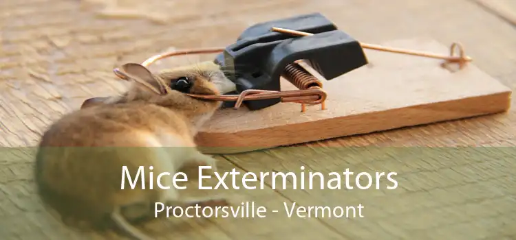 Mice Exterminators Proctorsville - Vermont