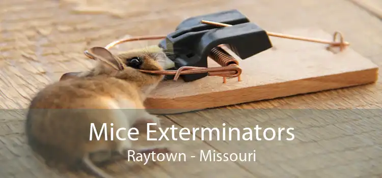 Mice Exterminators Raytown - Missouri