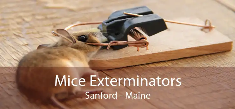 Mice Exterminators Sanford - Maine