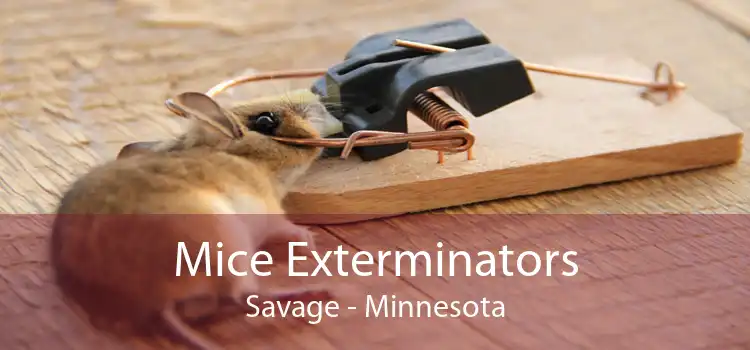 Mice Exterminators Savage - Minnesota