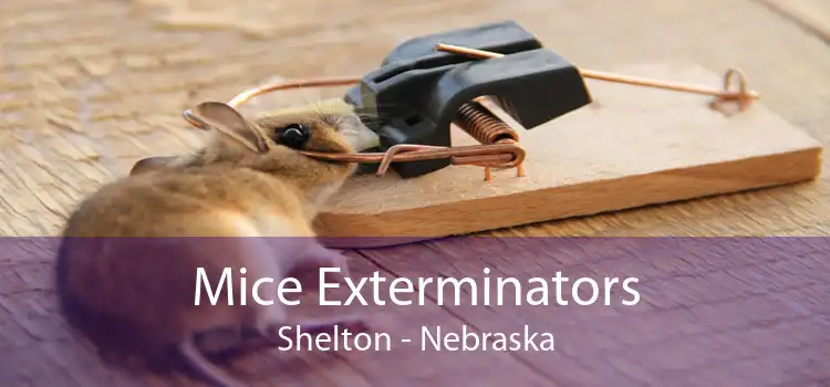 Mice Exterminators Shelton - Nebraska
