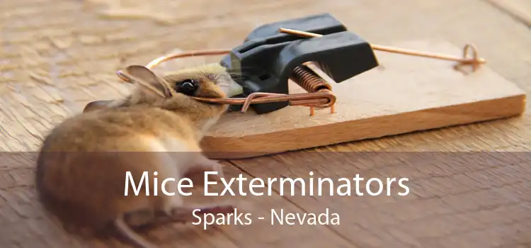 Mice Exterminators Sparks - Nevada