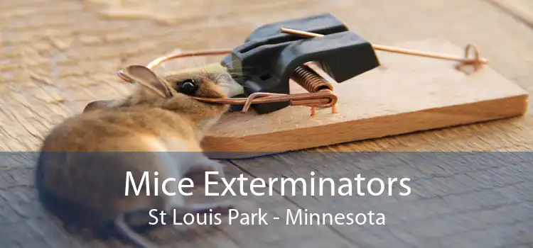 Mice Exterminators St Louis Park - Minnesota