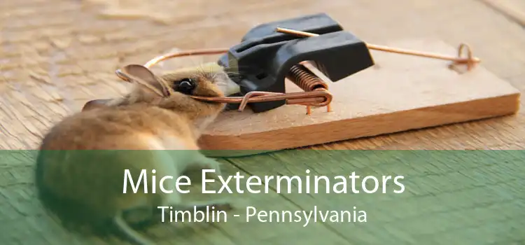 Mice Exterminators Timblin - Pennsylvania