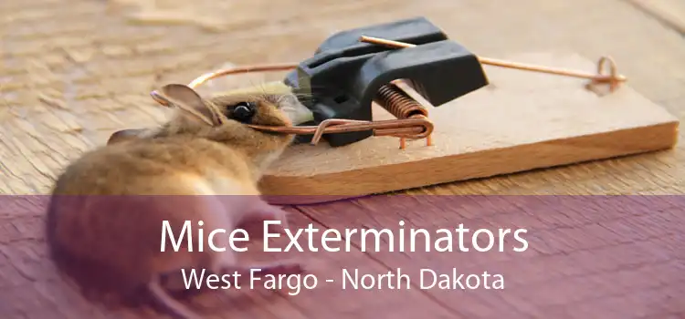 Mice Exterminators West Fargo - North Dakota
