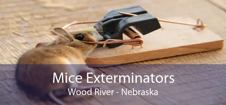 Mice Exterminators Wood River - Nebraska