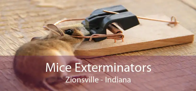 Mice Exterminators Zionsville - Indiana
