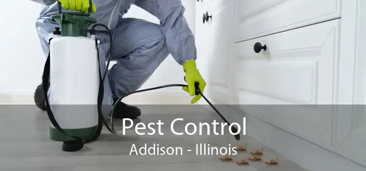 Pest Control Addison - Illinois