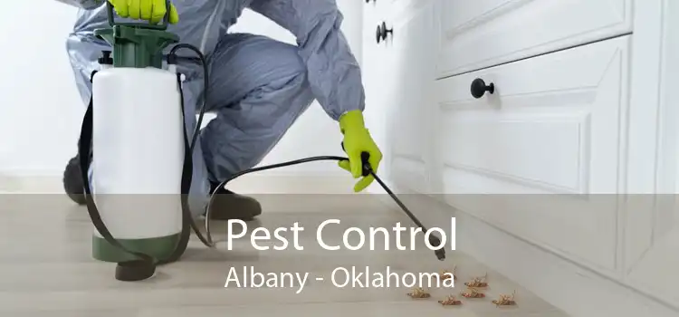 Pest Control Albany - Oklahoma
