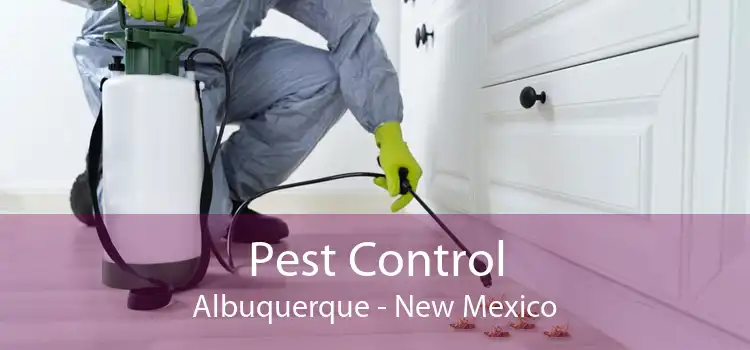 Pest Control Albuquerque - New Mexico