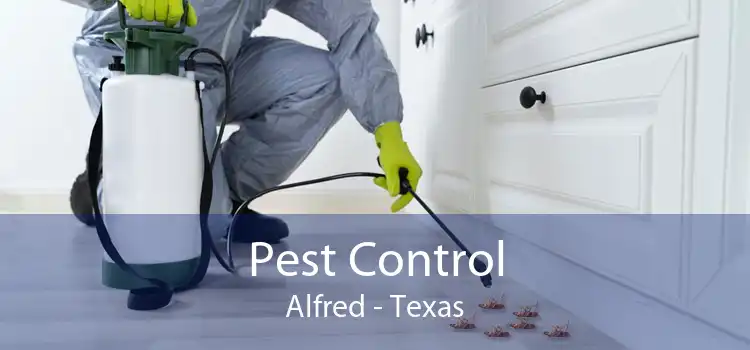 Pest Control Alfred - Texas