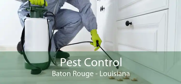 Pest Control Baton Rouge - Louisiana