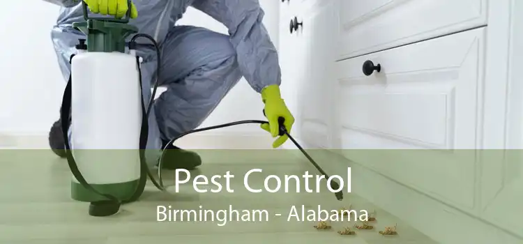 Pest Control Birmingham - Alabama