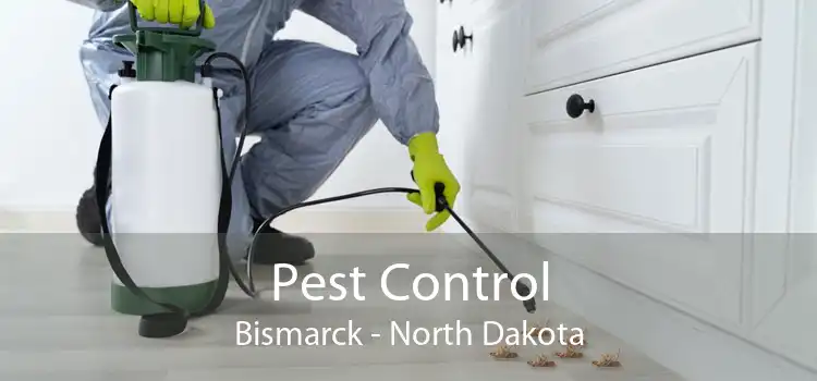 Pest Control Bismarck - North Dakota