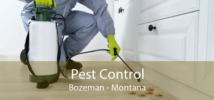 Pest Control Bozeman - Montana