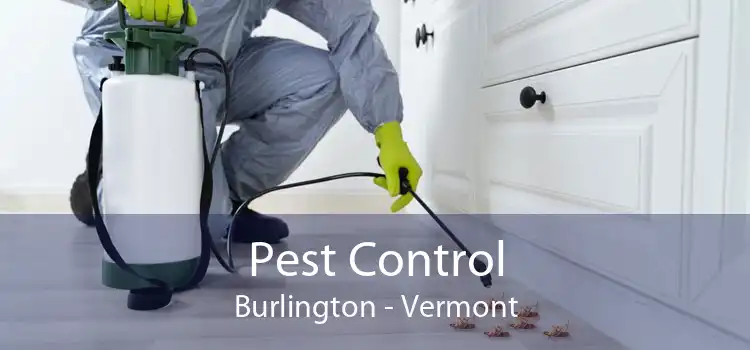 Pest Control Burlington - Vermont