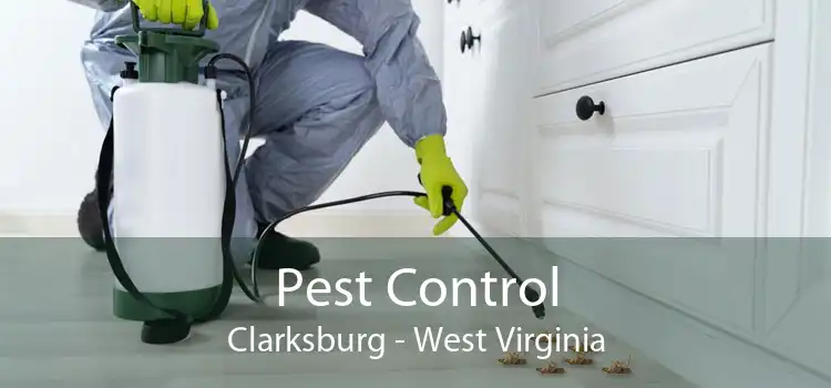 Pest Control Clarksburg - West Virginia