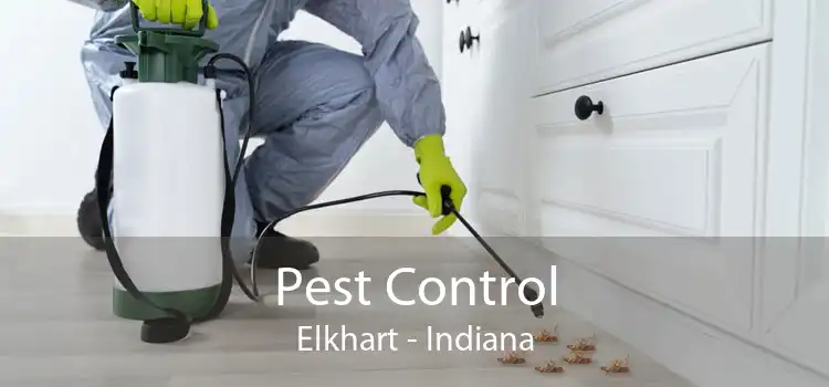Pest Control Elkhart - Indiana