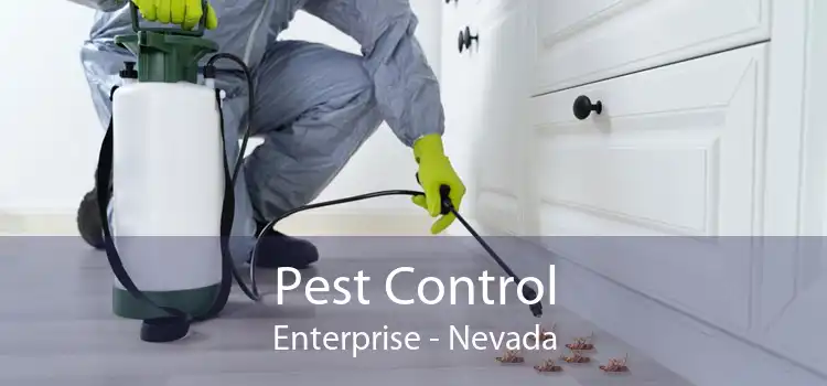 Pest Control Enterprise - Nevada