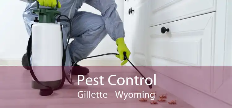 Pest Control Gillette - Wyoming