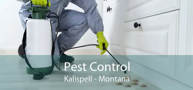 Pest Control Kalispell - Montana