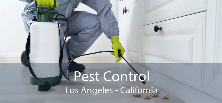 Pest Control Los Angeles - California