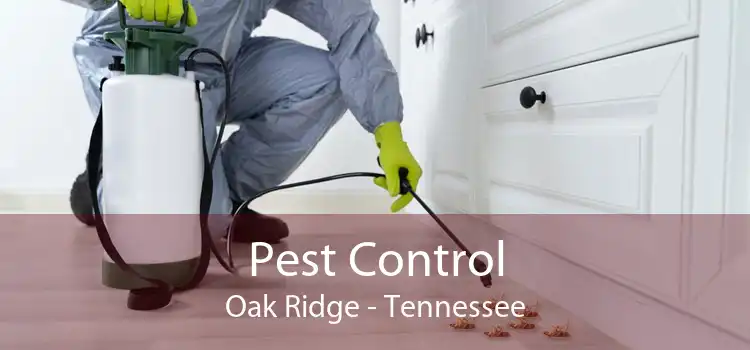Pest Control Oak Ridge - Tennessee