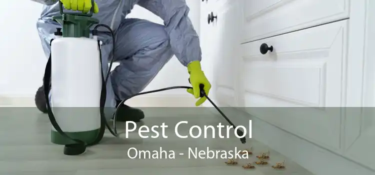 Pest Control Omaha - Nebraska
