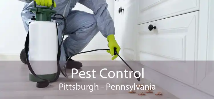 Pest Control Pittsburgh - Pennsylvania