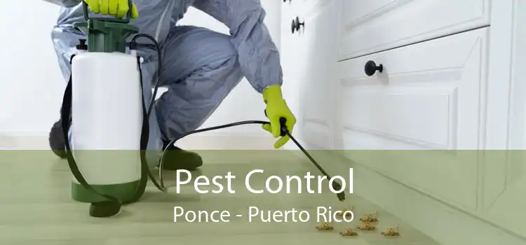 Pest Control Ponce - Puerto Rico