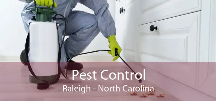 Pest Control Raleigh - North Carolina
