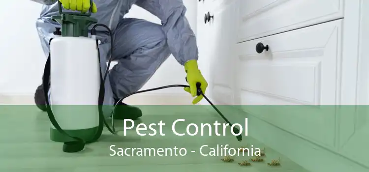 Pest Control Sacramento - California