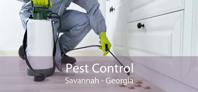 Pest Control Savannah - Georgia