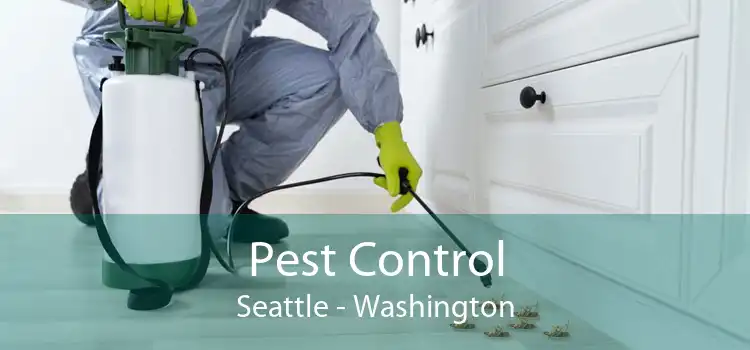 Pest Control Seattle - Washington