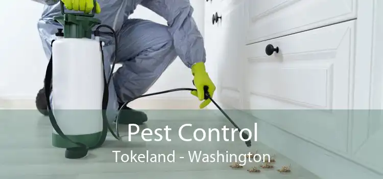 Pest Control Tokeland - Washington
