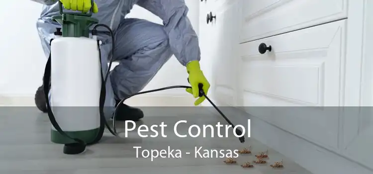Pest Control Topeka - Kansas