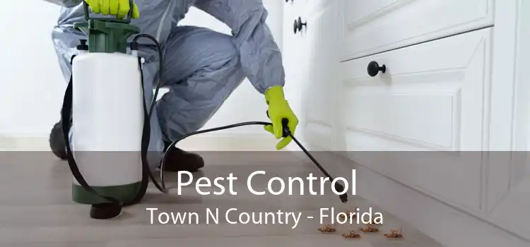 Pest Control Town N Country - Florida