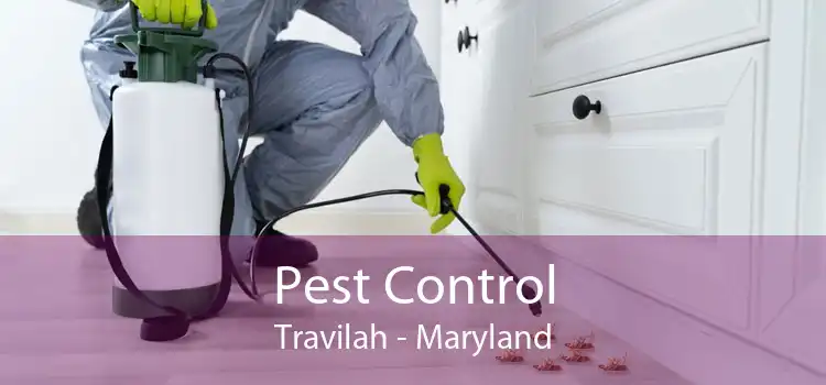 Pest Control Travilah - Maryland