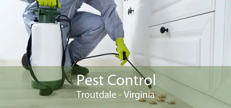 Pest Control Troutdale - Virginia