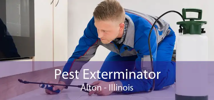 Pest Exterminator Alton - Illinois